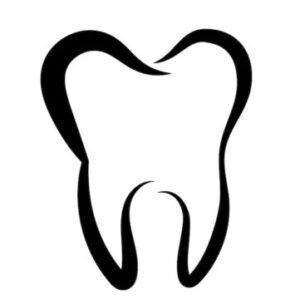 Profile photo of Anthony