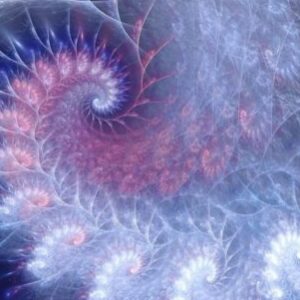 Profile photo of Nguyễn