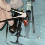 Profile photo of Amna Waseem